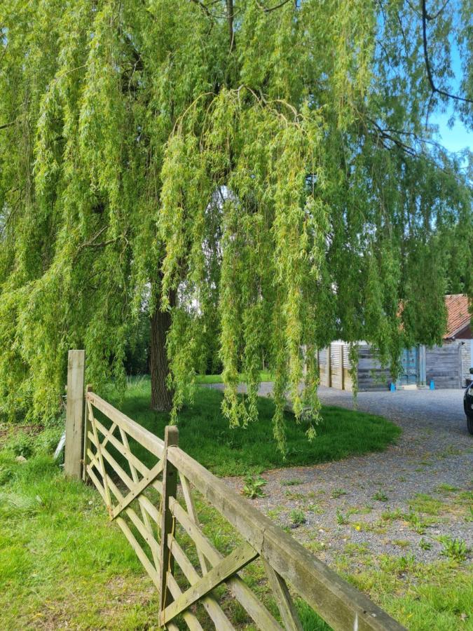 The Little Cottage - Peaceful, Dog Friendly Cottage In 5 Acres Glastonbury Exterior foto